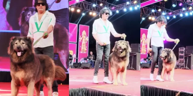 Most Expensive Dog: 50 करोड़ में खरीदा वुल्फडॉग, लग्जरी फ्लैट्स से भी महंगा निकला यह 'डरावना' Pet!