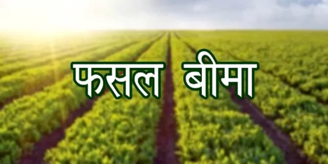 फसल बीमा योजना का लाभ उठाएं: खरीफ-2025 के लिए आवेदन की अंतिम तिथि 31 जुलाई