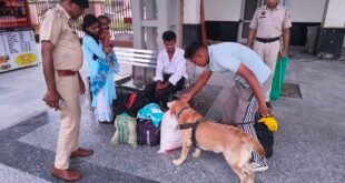 हरियाणा पुलिस के स्निफर डॉग्स का कमाल: 6 महीने में 48 ड्रग्स तस्करी के मामलों का खुलासा, 'बोल्ट', 'रैम्बो' और 'रोमियो' बने हीरो