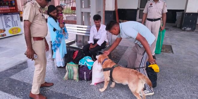 हरियाणा पुलिस के स्निफर डॉग्स का कमाल: 6 महीने में 48 ड्रग्स तस्करी के मामलों का खुलासा, 'बोल्ट', 'रैम्बो' और 'रोमियो' बने हीरो